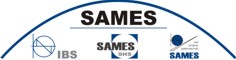 small logo